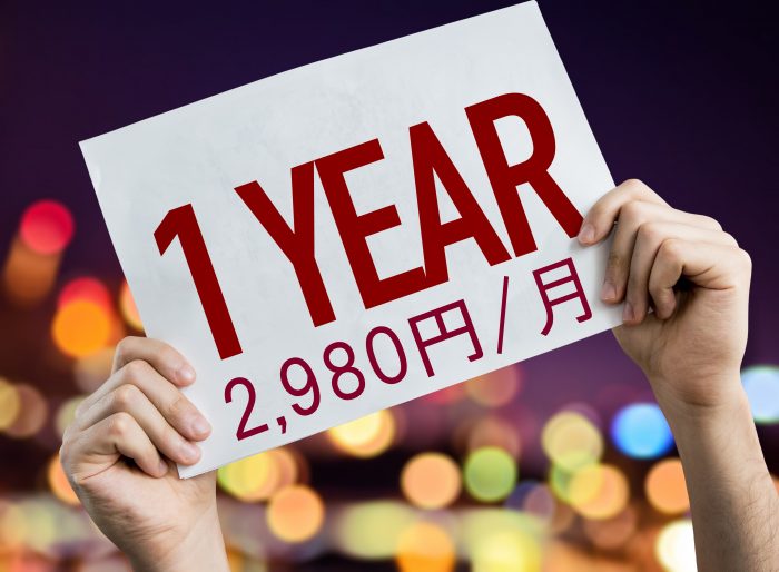 1年間2,980円で使用できます